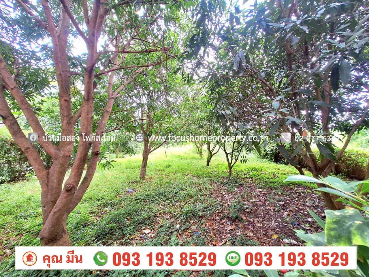 ขาย ที่ดินเปล่า 150 ตารางวา หมู่บ้านชลลดา บางบัวทอง